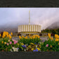 Provo Spring Tulips