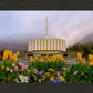 Provo Spring Tulips