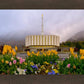 Provo Spring Tulips