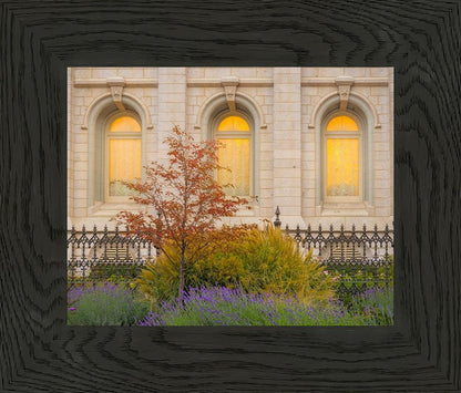 Salt Lake Autumn Detail