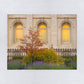 Salt Lake Autumn Detail