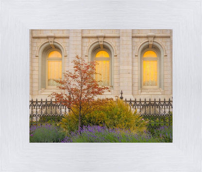 Salt Lake Autumn Detail