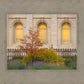 Salt Lake Autumn Detail