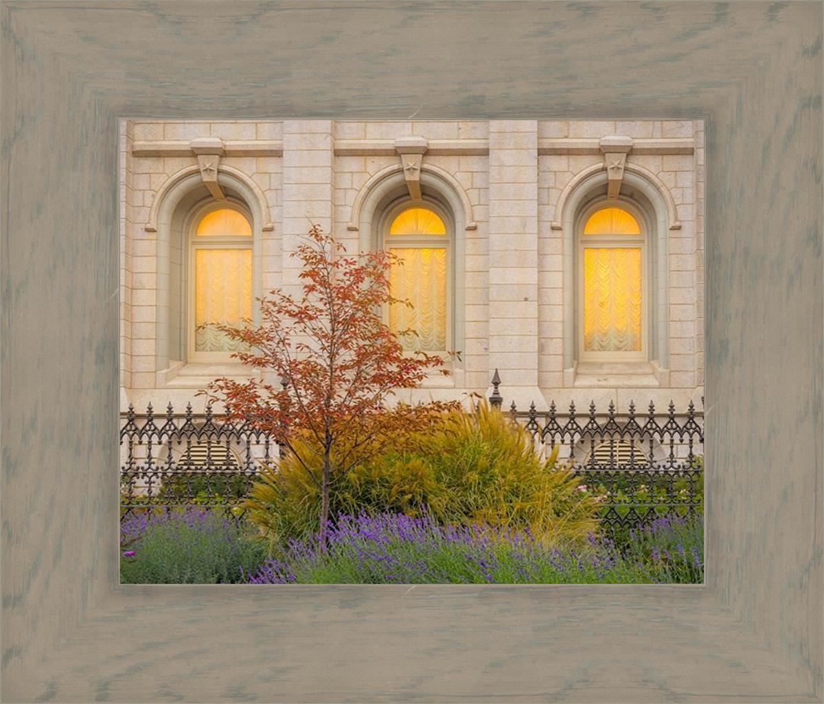 Salt Lake Autumn Detail