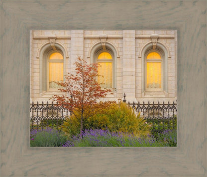 Salt Lake Autumn Detail