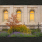 Salt Lake Autumn Detail