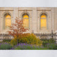 Salt Lake Autumn Detail