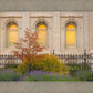 Salt Lake Autumn Detail