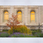 Salt Lake Autumn Detail