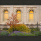 Salt Lake Autumn Detail