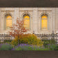 Salt Lake Autumn Detail