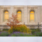 Salt Lake Autumn Detail
