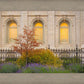Salt Lake Autumn Detail