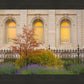 Salt Lake Autumn Detail