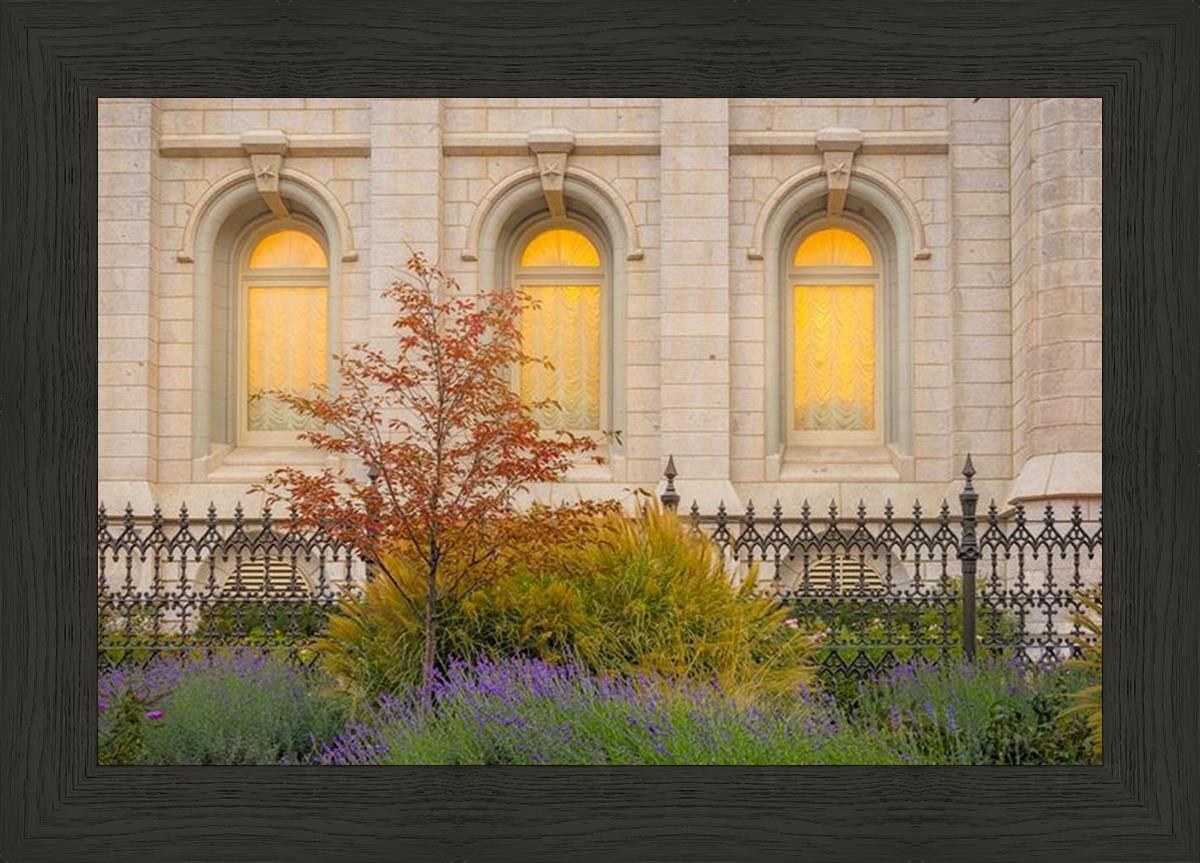 Salt Lake Autumn Detail