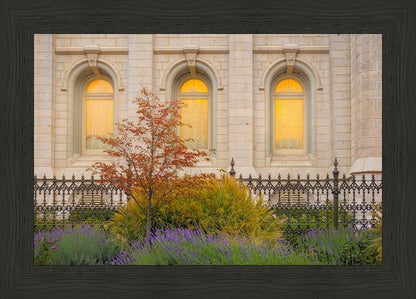 Salt Lake Autumn Detail