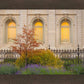 Salt Lake Autumn Detail