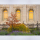 Salt Lake Autumn Detail