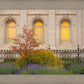 Salt Lake Autumn Detail