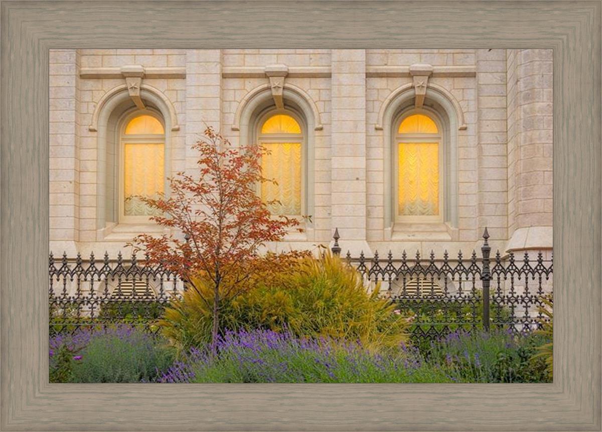 Salt Lake Autumn Detail