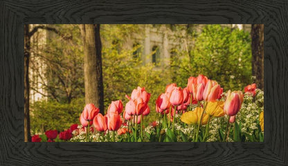 Salt Lake in the Garden