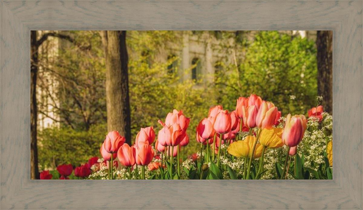 Salt Lake in the Garden