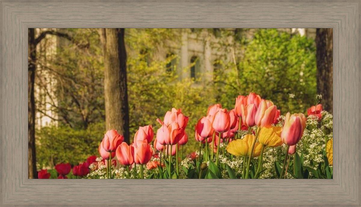 Salt Lake in the Garden