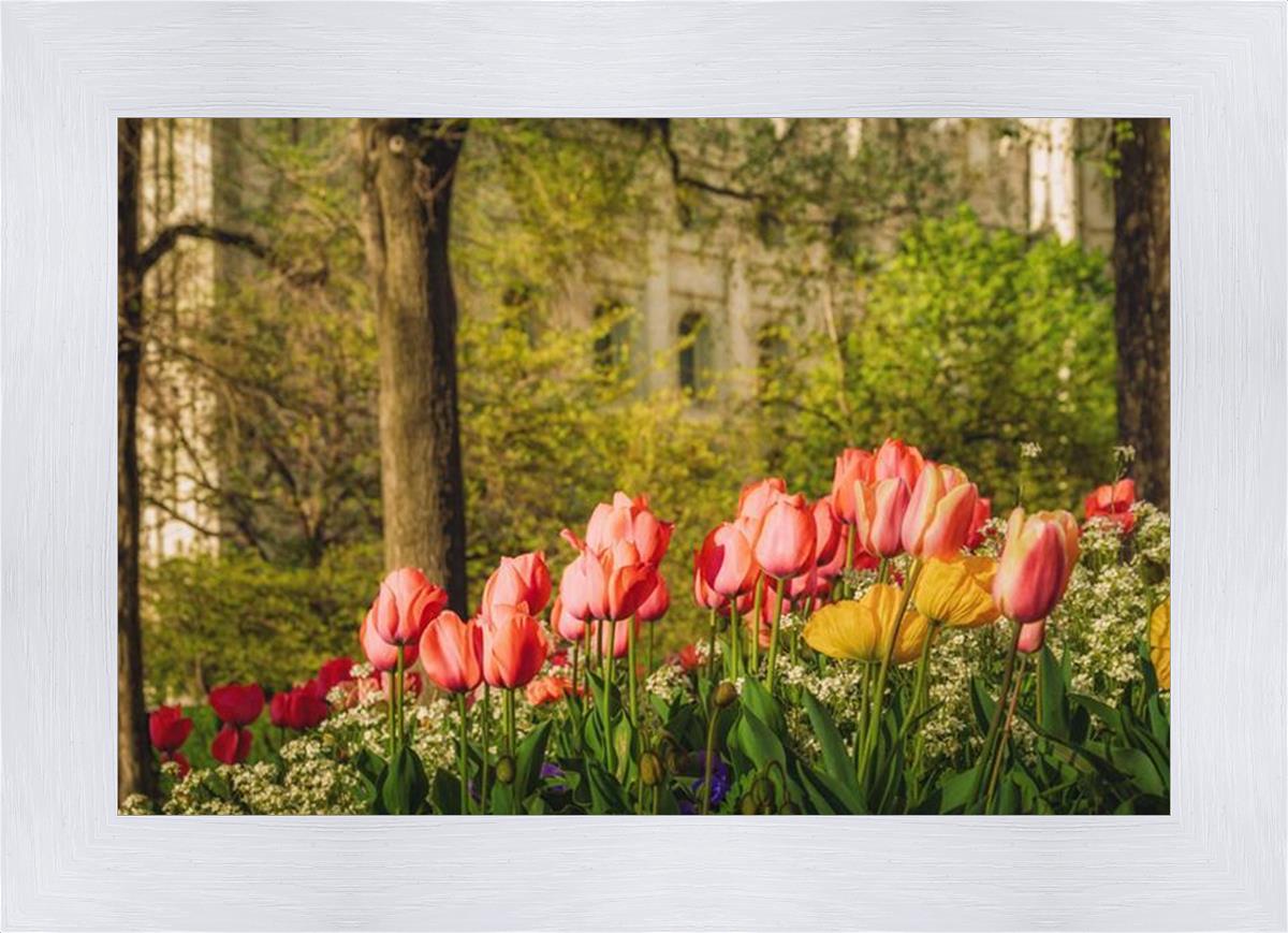 Salt Lake in the Garden