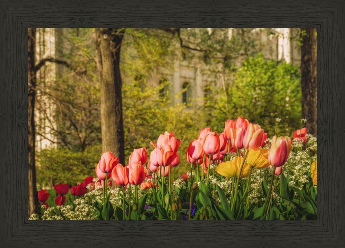 Salt Lake in the Garden