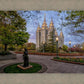 Salt Lake Light Unto My Path