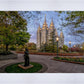Salt Lake Light Unto My Path