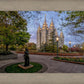 Salt Lake Light Unto My Path