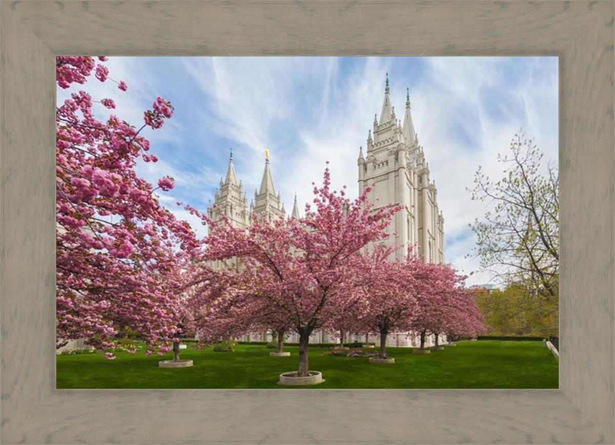 Salt Lake Spring Blossoms