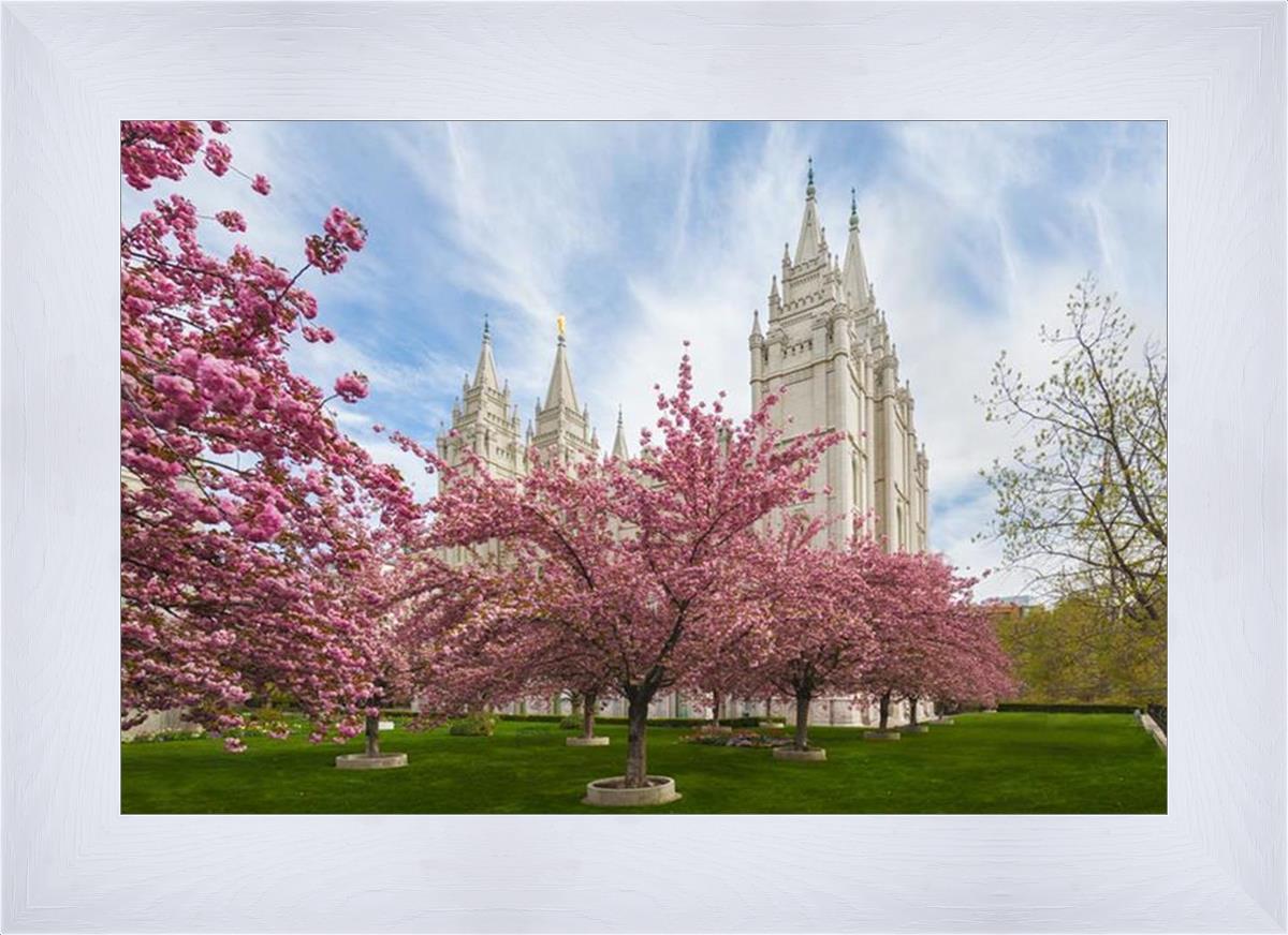Salt Lake Spring Blossoms