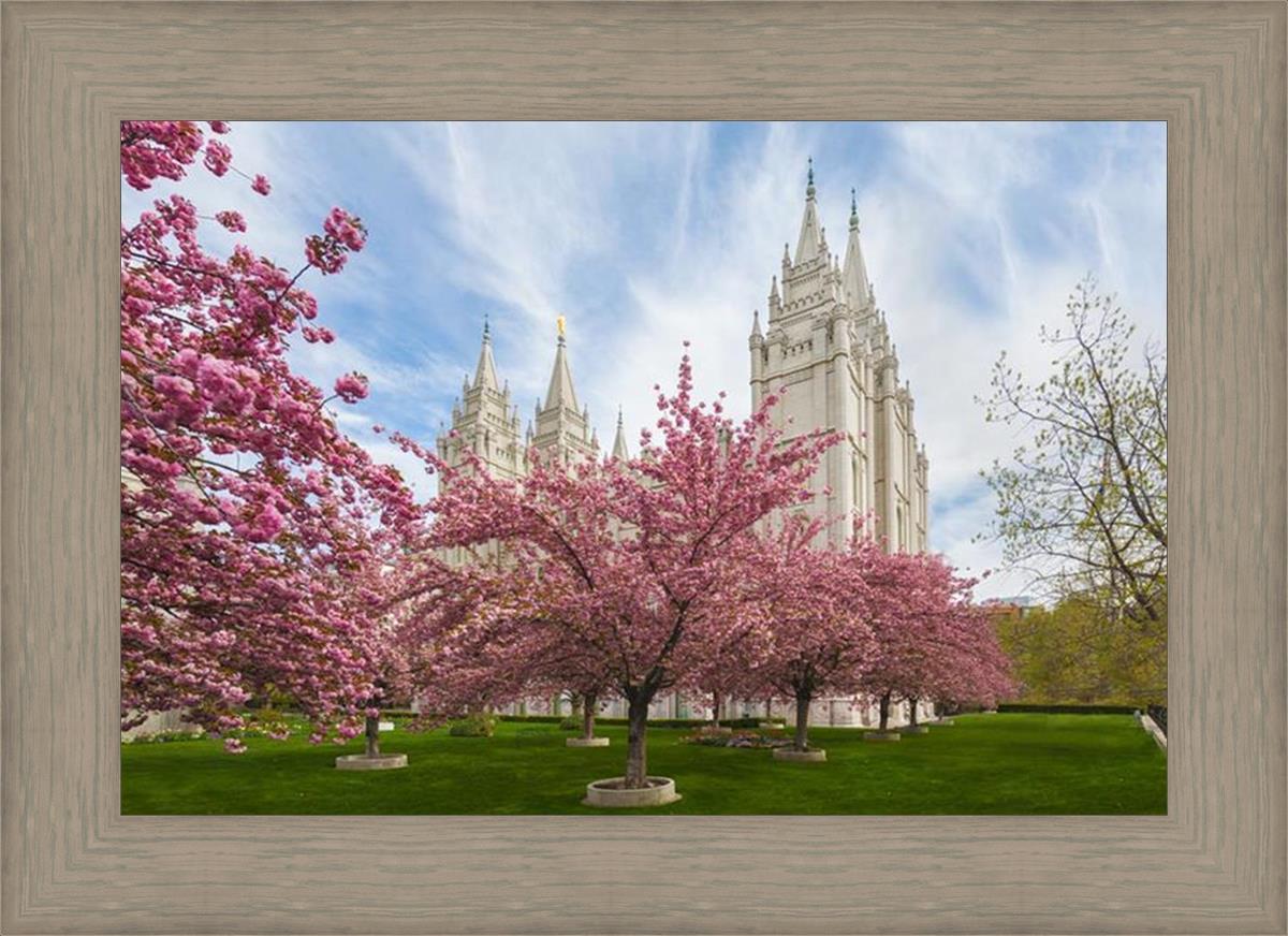 Salt Lake Spring Blossoms