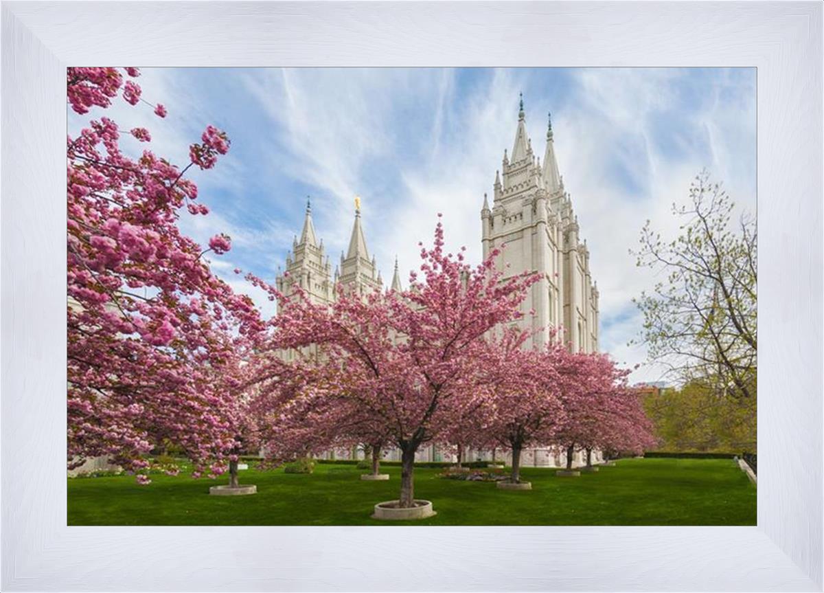 Salt Lake Spring Blossoms