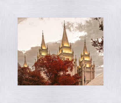 Salt Lake Temple 05