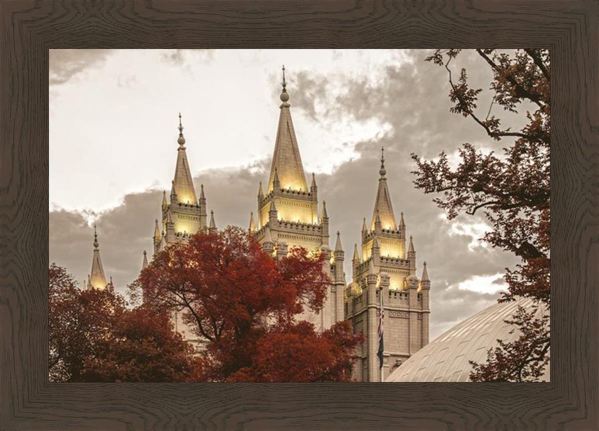 Salt Lake Temple 05