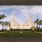 San Diego Temple 05