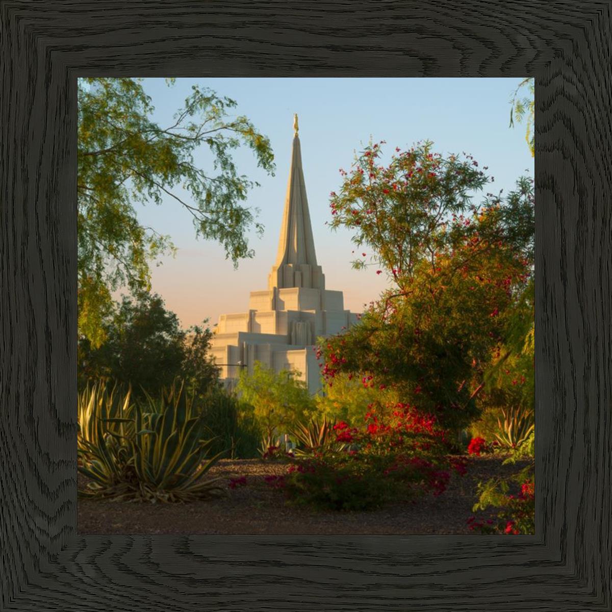 Gilbert Garden