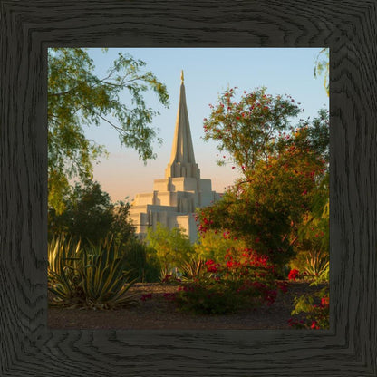 Gilbert Garden