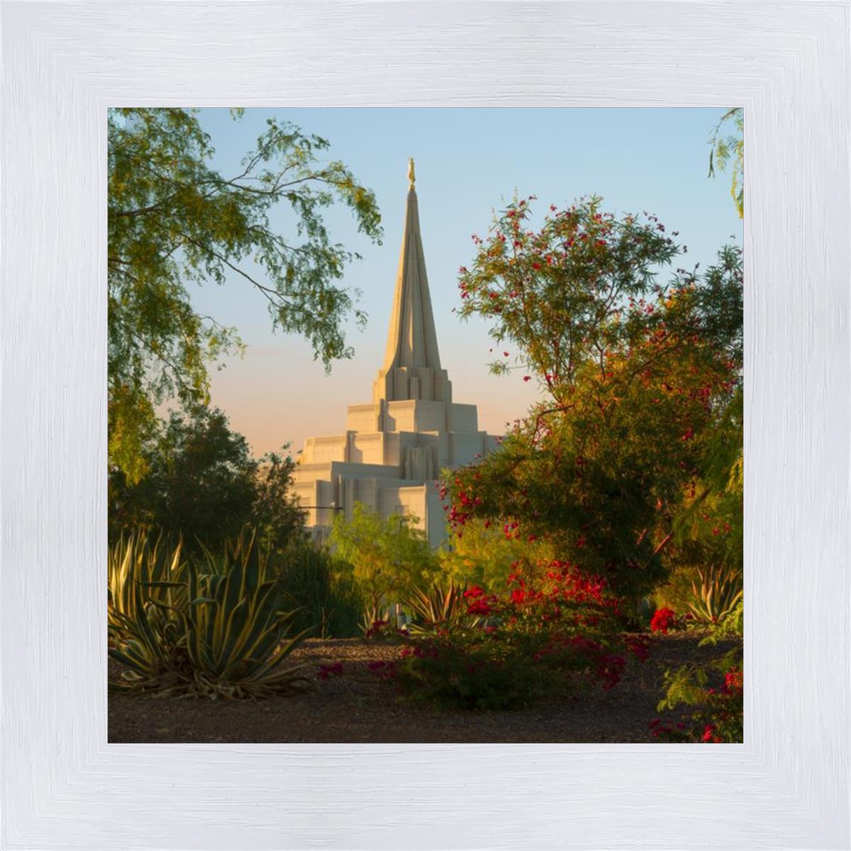 Gilbert Garden