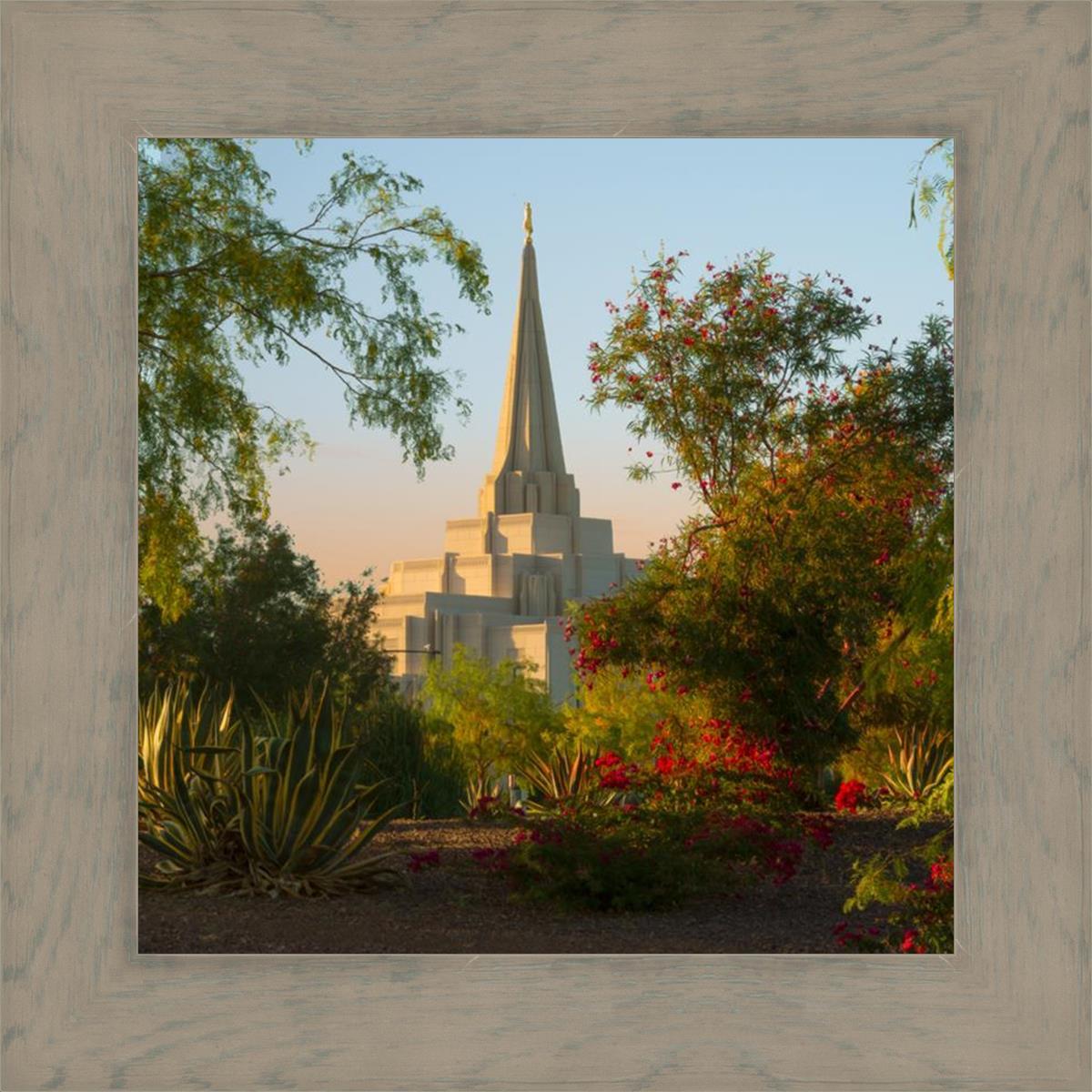Gilbert Garden