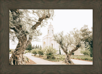 Feather River California Serenity