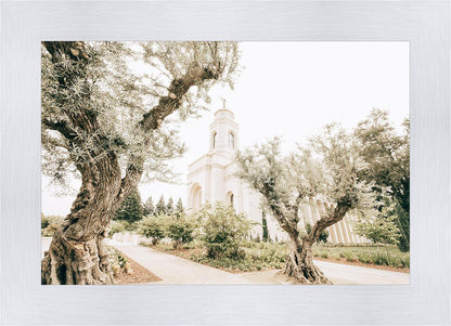 Feather River California Serenity