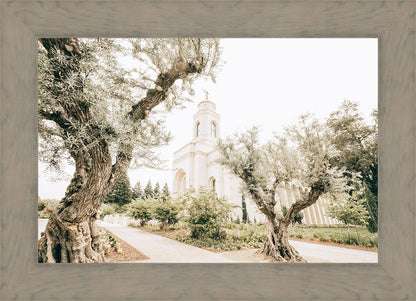 Feather River California Serenity