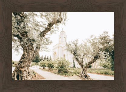 Feather River California Serenity