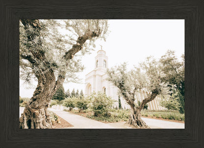 Feather River California Serenity