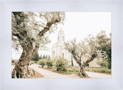 Feather River California Serenity