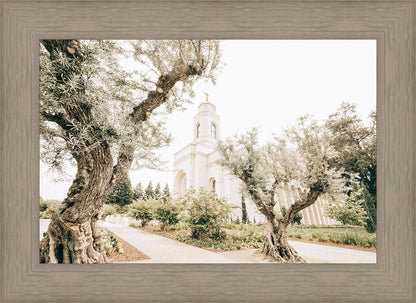 Feather River California Serenity